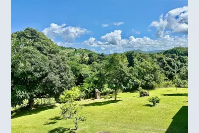 Calle 8 Final#9 Bo Carola Calle 8 Final#9 Bo Carola, Rio Grande, PR 00745 - Photo 9