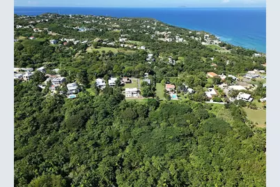 Calle Las Palmas, Rincon, PR 00677 - Photo 7