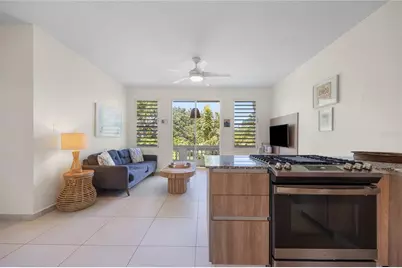 Carr. 413 Int.  Km 4 The Jungle, Rincon, PR 00677 - Photo 11