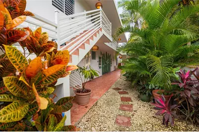 Carr. 413 Int.  Km 4 The Jungle, Rincon, PR 00677 - Photo 3