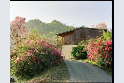 Sr 526 Bosque Tanama, Adjuntas, PR 00601 - Photo 5