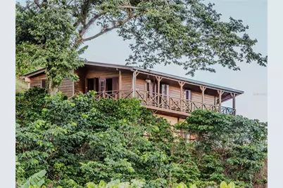 Sr 526 Bosque Tanama, Adjuntas, PR 00601 - Photo 1