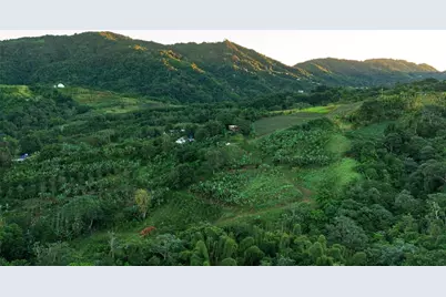 Sr 526 Bosque Tanama, Adjuntas, PR 00601 - Photo 25