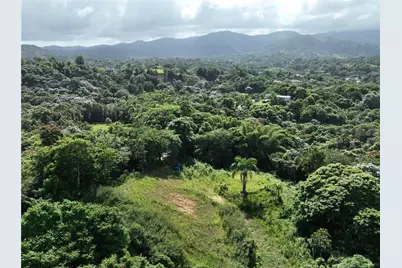 Pr 902 Camino Carlos Diaz, San Lorenzo, PR 00754 - Photo 3