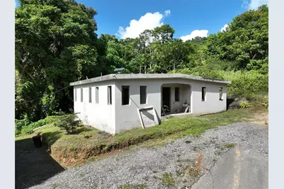 Pr 902 Camino Carlos Diaz, San Lorenzo, PR 00754 - Photo 11