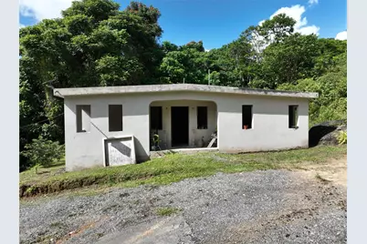 Pr 902 Camino Carlos Diaz, San Lorenzo, PR 00754 - Photo 9