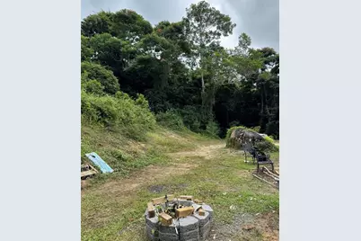 Pr 902 Camino Carlos Diaz, San Lorenzo, PR 00754 - Photo 7