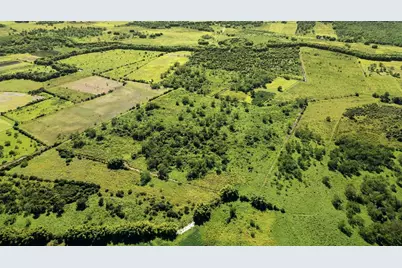 Pr-2 Km 162 Bo. Benavente, Hormigueros, PR 00660 - Photo 11