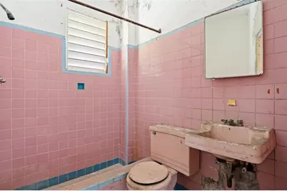 H4 Calle Caoba, Carolina, PR 00984 - Photo 23