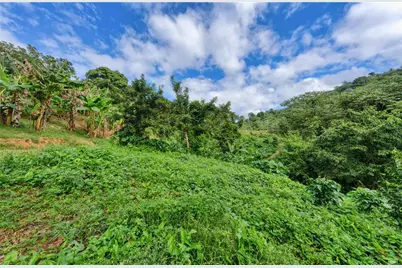 Carr. 140 Km 17.9, Utuado, PR 00641 - Photo 9