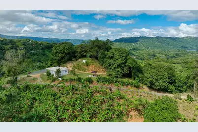 Carr. 140 Km 17.9, Utuado, PR 00641 - Photo 5