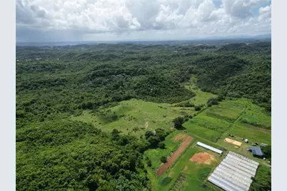 Pr 682 Km 6.5 Int Garrochales Ward, Arecibo, PR 00612 - Photo 5