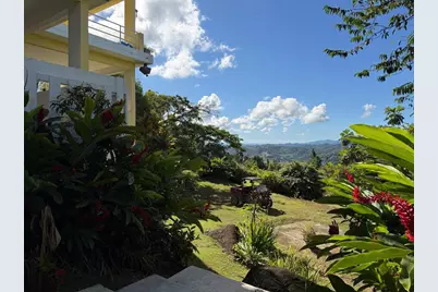 Carr 950 Km 1.2 Int Bo. Higuerillo, Sector La Suiza #21, Naguabo, PR 00718 - Photo 17