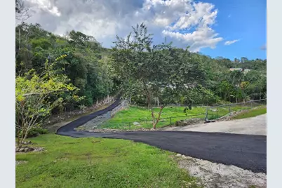 0 Pr 453 Int, Lares, PR 00669 - Photo 49