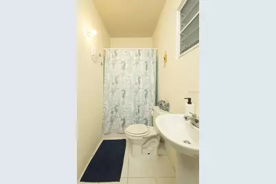 363 Calle Antonio G. Mellado, Vieques, PR 00765 - Photo 23