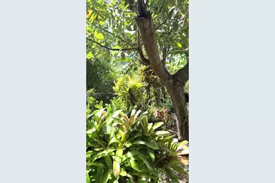 22 Hermanos Avila, Beltran, Fajardo, PR 00738 - Photo 19