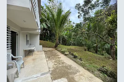 21817 Sector Malua Guavate, Cayey, PR 00736 - Photo 11