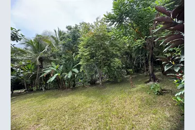 21817 Sector Malua Guavate, Cayey, PR 00736 - Photo 3