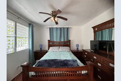 21817 Sector Malua Guavate, Cayey, PR 00736 - Photo 19