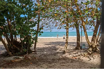 Carrion Court #6 Carrion Court Street, San Juan, PR 00911 - Photo 35