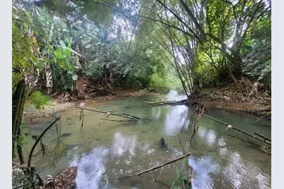 743 Pr 743, Cayey, PR 00737 - Photo 19