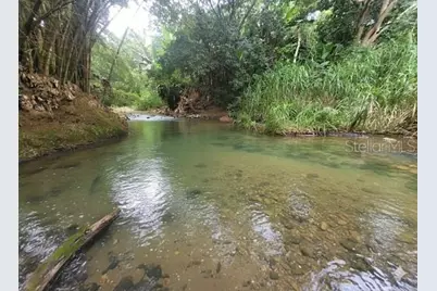 743 Pr 743, Cayey, PR 00737 - Photo 17