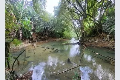 743 Pr 743, Cayey, PR 00737 - Photo 29