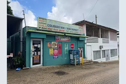 57 C. Ulises Martinez Urb. Otero Mendez, Humacao, PR 00791 - Photo 1