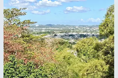 Carr 174 Bo Minillas Sect Vergara, Bayamon, PR 00956 - Photo 5