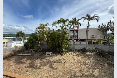 Calle 8 Bo. Piedra Aguza #Casa 8, Juana Diaz, PR 00795 - Photo 31