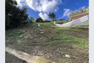 3 Calle Caguax, Carolina, PR 00987 - Photo 3