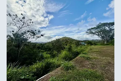 Bo RincÃ“n Lomas, Cayey, PR 00736 - Photo 19