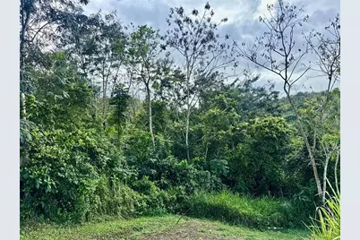 Bo RincÃ“n Lomas, Cayey, PR 00736 - Photo 3