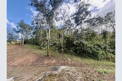 Bo RincÃ“n Lomas, Cayey, PR 00736 - Photo 17
