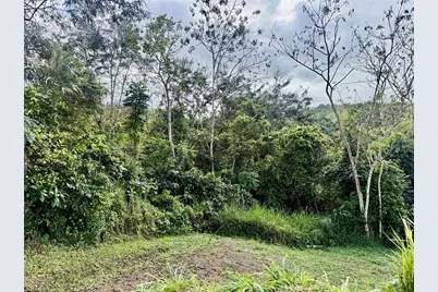 Bo RincÃ“n Lomas, Cayey, PR 00736 - Photo 13