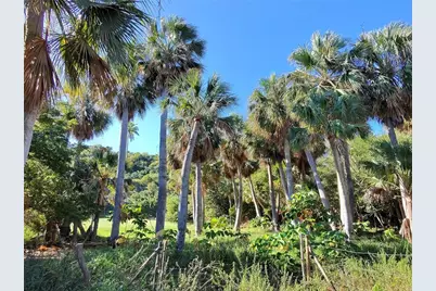 732 Pr-466 Bajuras, Isabela, PR 00662 - Photo 21