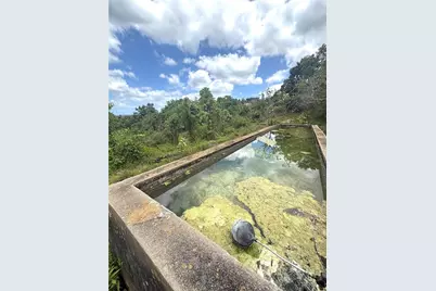 Carr 119 Int. 448 Km 3.7 Road, San Sebastian, PR 00685 - Photo 9