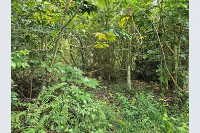 Pr 7718 Km 4.1 Pasto Ward, Aibonito, PR 00705 - Photo 15
