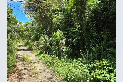 Pr 7718 Km 4.1 Pasto Ward, Aibonito, PR 00705 - Photo 23