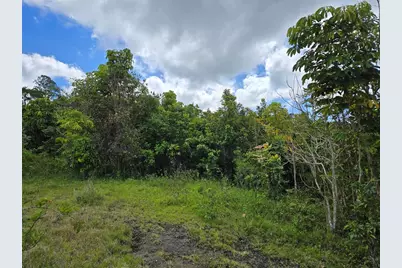 Pr 7718 Km 4.1 Pasto Ward, Aibonito, PR 00705 - Photo 5