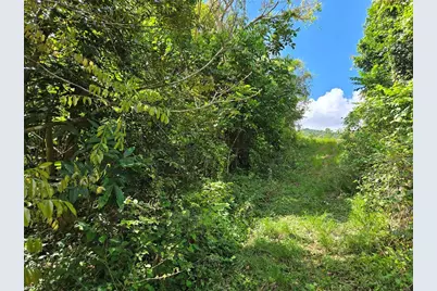 Pr 7718 Km 4.1 Pasto Ward, Aibonito, PR 00705 - Photo 21