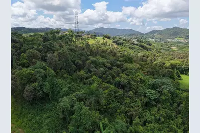 Pr 7718 Km 3.6 Pasto Ward, Aibonito, PR 00705 - Photo 1