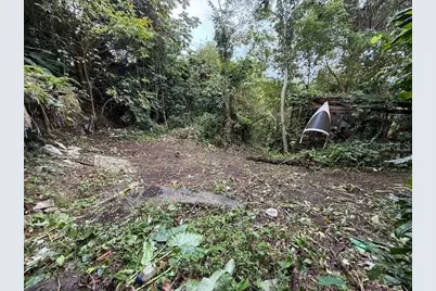 Bo Jimenez Carr 966, Rio Grande, PR 00745 - Photo 3
