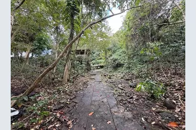 Bo Jimenez Carr 966, Rio Grande, PR 00745 - Photo 1
