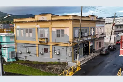 156 Calle JosÃ‰ De Diego, Cayey, PR 00736 - Photo 3