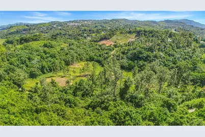 63 Sector Monticello, Cidra, PR 00739 - Photo 15