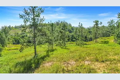 63 Sector Monticello, Cidra, PR 00739 - Photo 11