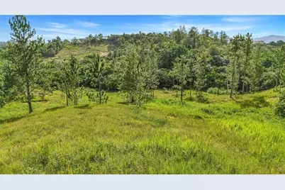 63 Sector Monticello, Cidra, PR 00739 - Photo 9