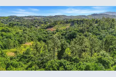63 Sector Monticello, Cidra, PR 00739 - Photo 3