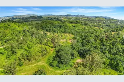 63 Sector Monticello, Cidra, PR 00739 - Photo 17